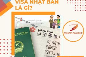 Bìa VIsa NB là gì