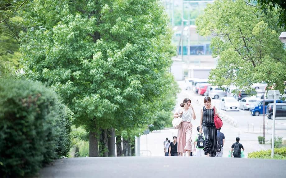 Học Phí & Chi Phí Du Học Đại học KUAS 2026